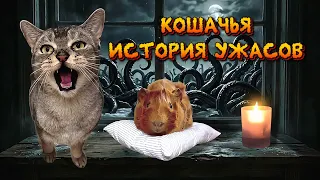 КОШАЧЬЯ ИСТОРИЯ УЖАСОВ в реальной жизни | зря Сладя открыл дверь...