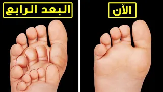 كيف ستبدو في العالم الرباعي الأبعاد  دندنها
