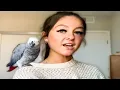 This TikToker Just Ruined Her Career TarasWrld