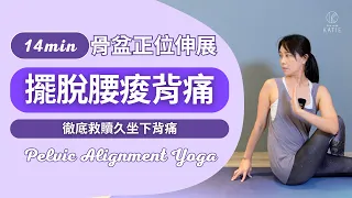 14 分鐘擺脫腰痠背痛！骨盆正位伸展徹底救贖久坐下背痛14 min Pelvic Alignment Yoga { Flow with Katie }