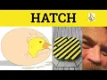 Hatch Meaning - Hatch Examples