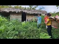 Lagu Video recalling the day Hoa Ca was kicked out. Met a kind man who gave him a new place to live.