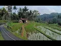 Download Lagu Apakah ini kampung terbersih terindah di Ciamis⁉️Coba mampir sebentar kalo lewat ke sini