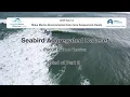 Seabird Observation Tracking Dataset Python 3 Identifying Trend Sites Wind Farm Interactions