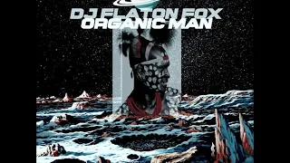 dj flaton fox organic man 2020 