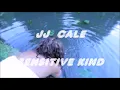 JJ Cale  -  Sensitive kind  ( with lyrics )