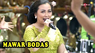 Download JAIPONG KOPLO MAWAR BODAS - MELANIE SALATIGA Campursari CANDRA PESONA MP3