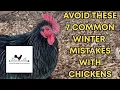 Avoid These 7 Common Winter Mistakes With Chickens