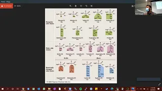 Biopython - Working around multiple sequences and phylogenetic analysis