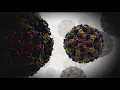 Disinfecting against norovirus What to know