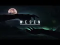 Mark Dekoda - Wesen (Original Mix)