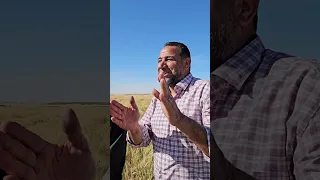 قصه نجاح حج محمد من كفر الزيات زرع وسكن علي راس الارض للحجز             دندنها