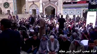رثاء السيدة زينب عليها السلام بأبيات مؤلمة بصوت القارئ السيد هاني الموسوي