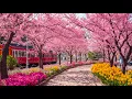 Lagu Music for a healthy heart and a calm mind 🌿 Anti-stress, relaxation, and harmony #8