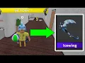 What Is Icewing s Trading Worth MM2 Gameplay