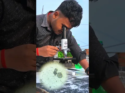 क्या गुटखा में सच में कीड़े होते है #experiment #shorts #vimalpanmasala