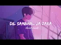Lagu Dil Sambhal Ja zara Song Lofi | Dil Sambhal Ja Zara Slowed Reverb Song #Lofi