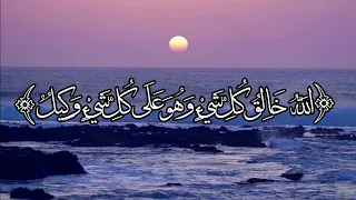 تلاوة رائعة للقارئ عمر الدريويز الله خالق كل شيء وهو على كل شيء وكيل مكررة 