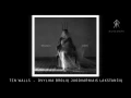 TEN WALLS - DVYLIKA BROLIŲ JUODVARNIAIS LAKSTANČIŲ (CD2/10)