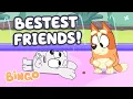 30 MINUTES of Bingo s Bestest Friends Adorable Moments and More Bingo - Channel