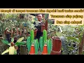 Download Lagu MAMPIR DI TEMPAT TANAMAN HIAS DI DEPOK⁉️HASIL TANIAN TANAMAN SIAP PAJANG DAN SIAP ADOPSI‼️
