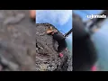 Dramatico momento en que la ciclista Cecilia Sopena resbala al borde de un acantilado