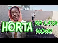 Download Lagu 💚🌿Minha Primeira Hortinha na Casa Nova 🌿💚 (e cuidando do maninho)
