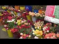 Valentine s Day flower rush at Flower Row in midtown Houston
