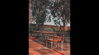 علي عيني اشوفك جاية قدامي وابص بعيد حلات وتس احمد كامل 