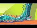 Oggy and the Cockroaches - A Soft World (S04E25) Full Episode in HD