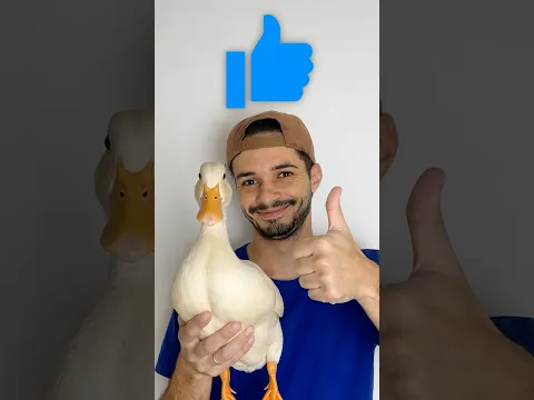 Como funciona o chuveiro?