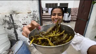 वादिष्ट मिर्ची का अचार 🤤|| Pooja Priyanka Official New Video || Priyanka Hard Work || 