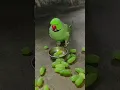 Download Lagu amazing talking parrot 🦜 mithu 🍏💚🦜 #parrot #talkingparot #petbird #nonstoptalkingparrot #shortvideo