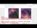 PLANT LEAF DISEASE DETECTION AND CLASSIFICATION PYTHON CODE www matlabprojectscode com