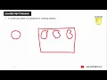 Learn JavaScript in 30 Days Lecture
