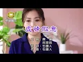 唐儷vs莊振凱-虛情假意【KTV導唱字幕】1080p HD