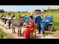 Lagu CEO Pretend Farmer To Scare Delicate Wife! Unexpect She Doesn’t Care \u0026 Heal Sick Donkeys!Love Came!