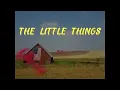 **The Little Things by George Strait** (2024)