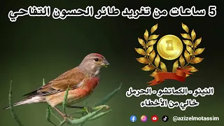 5 ساعات من تغريد طائر الحسون التفاحي النينو الكماتشو الحرمل خالي من الأخطاء 