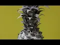 The Happy Fits - Do Your Worst (Official Audio)
