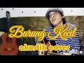 Lagu Burung Kecil akustik cover (Gito Rollies) Cipt.Oetje F Tekol
