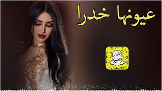 عيونها خدرا كلمات عيده المطيري اداء محمد الهوشان 2025 حصريا 