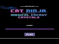 Cat Ninja Unblocked At School