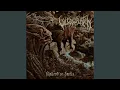 Download Lagu Beyond the Veil of Sanity