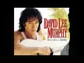 DAVID LEE MURPHY - DUST ON THE BOTTLE