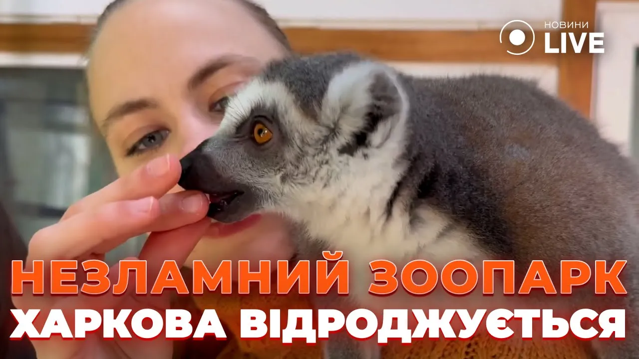 Несокрушимый и крепкий — как живет экопарк в Харькове в войну