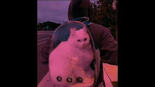 الأغنية التي يبحث عنها الجميع بلا بيك مرتاح شكون لي قلك راني نسوفري Zawali 