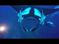Download Lagu Diving Socorro