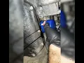 Nissan Cube Oil Change 66450 miles
