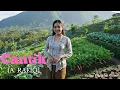 Download Lagu CANTIK – A. Rafiq | Cover Dangdut Versi [Safira Dangdut Official ]